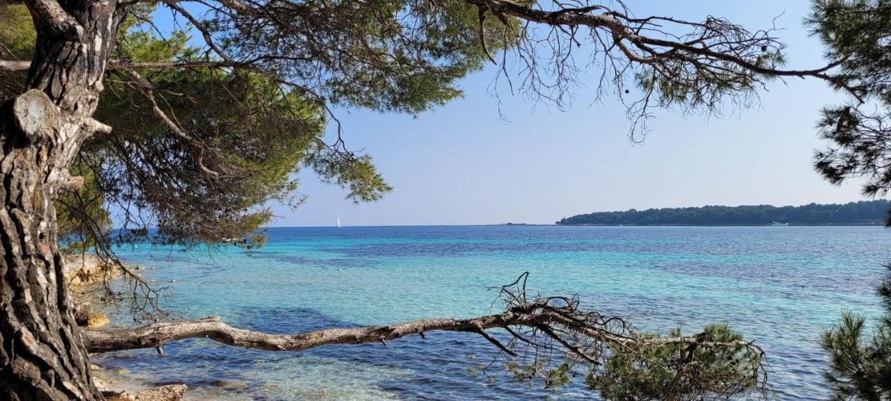 Les Grenadines Du Samedi Au Samedi Διαμέρισμα Αντίμπ Εξωτερικό φωτογραφία